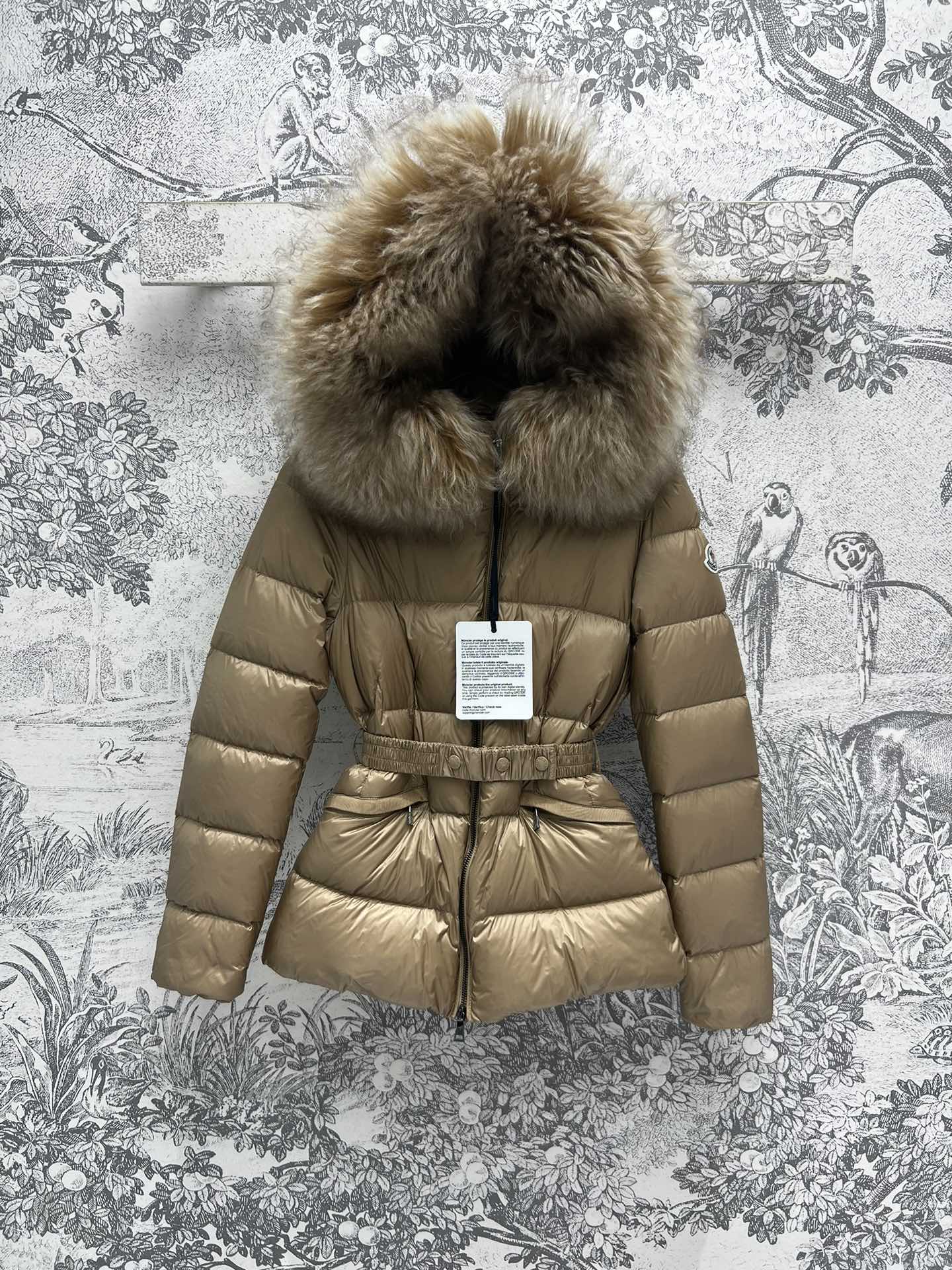 Moncler Down Jackets